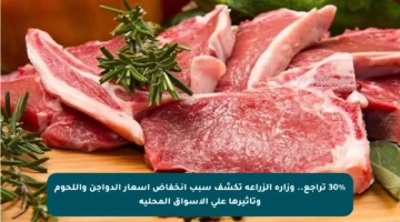30% تراجع.. وزارة الزراعة تكشف سبب انخفاض أسعار الدواجن واللحوم وتأثيرها على الأسواق المحلية
